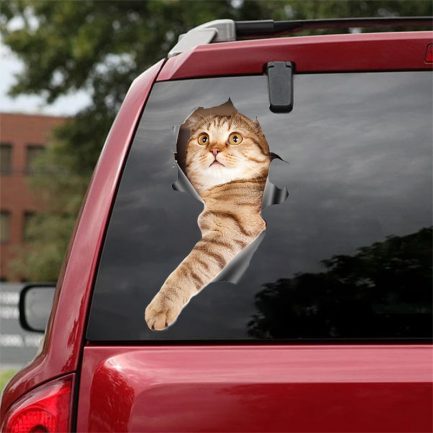 מדבקת תלת מימד של חיות להדבקה בחלון הרכב ועוד.